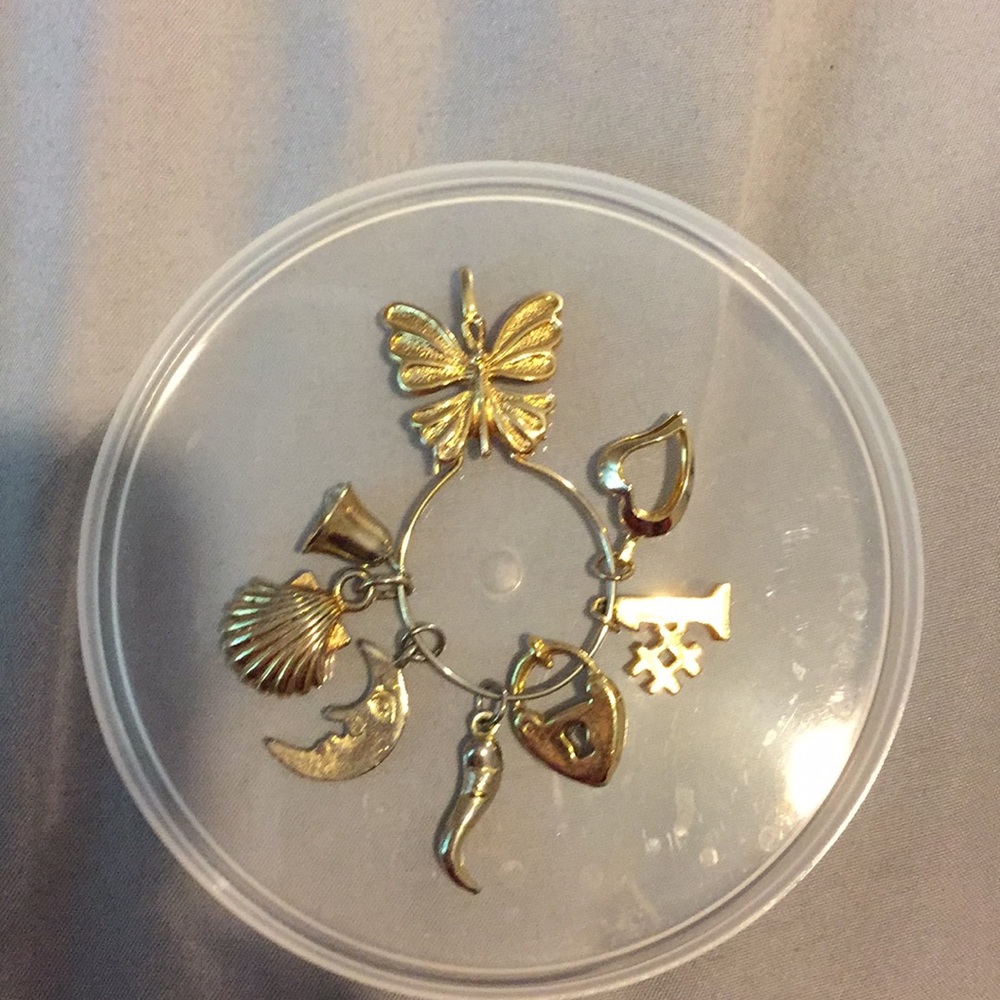 Necklace or bracelet charms